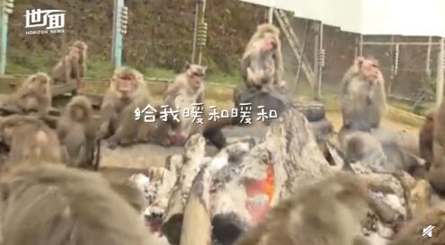 QQ截图20191219154945.jpg