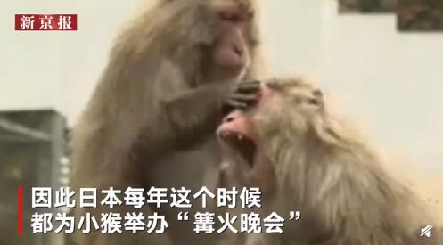 QQ截图20191219155002.jpg