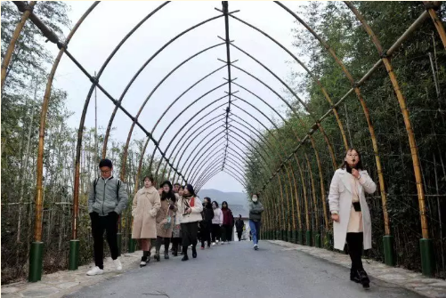 微信图片_201912231531091.png