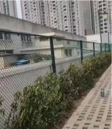 微信图片_201912240905391.png