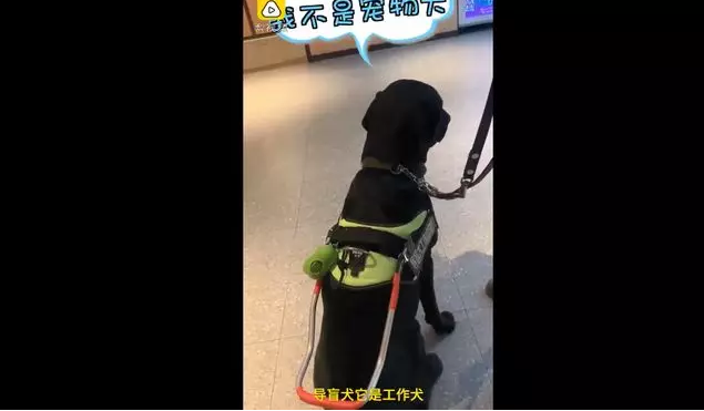微信图片_20200102131025.png