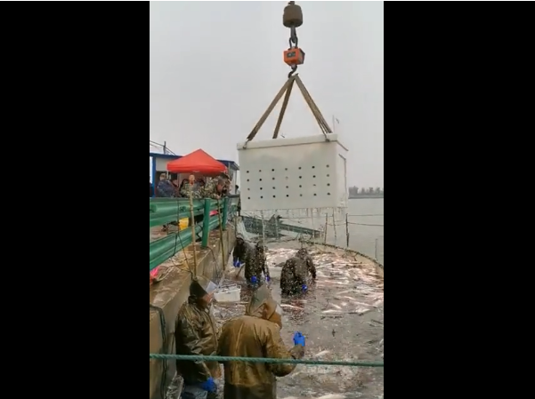 微信图片_20200102160015.png