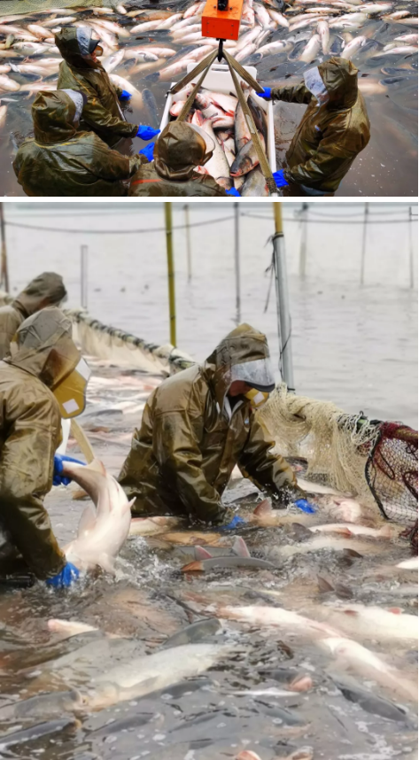 微信图片_202001021600152.png