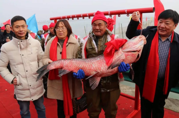 微信图片_202001021600155.png