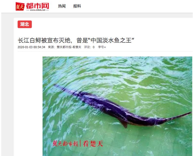 微信图片_202001031110062.png