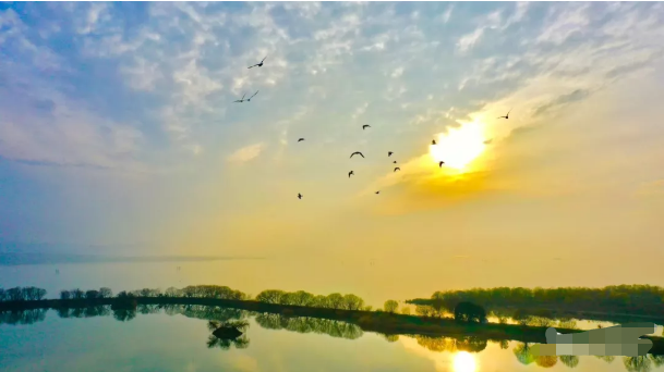 1578464141774399.png 微信图片_20200108141514.png