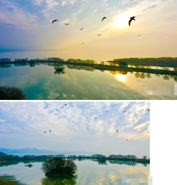 1578464164137366.png 微信图片_202001081415141.png
