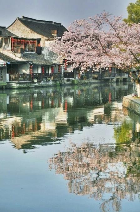 微信截图_20200310103329.jpg