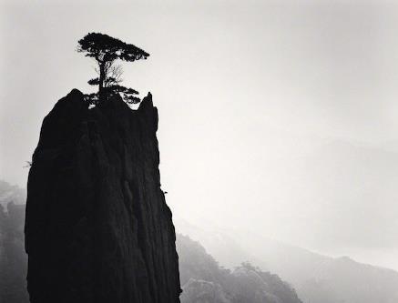 1584519395116986.jpg 微信截图_20200318161625.jpg