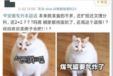 QQ截图20200323155854.jpg
