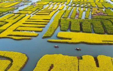 微信截图_20200402160118.jpg