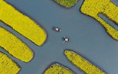 微信截图_20200402160145.jpg