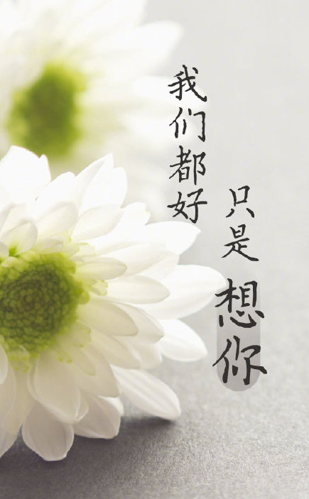 1585966689809341.png 1.png
