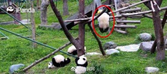 QQ截图20200411161230.jpg