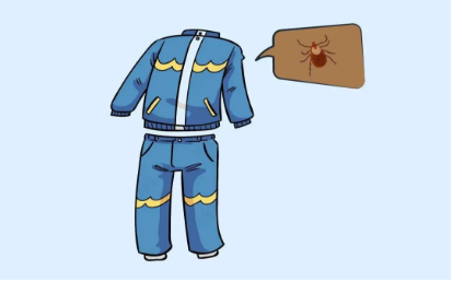 5.png