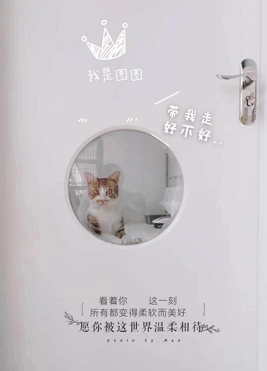 1588384938955133.jpg QQ截图20200502100129.jpg