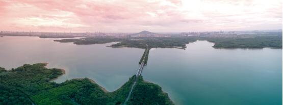 QQ截图20200509105402.jpg