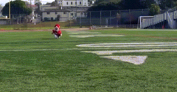 7.gif