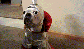 8.gif