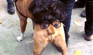9.gif