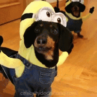 10.gif