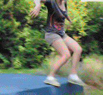 13.gif