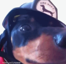 14.gif