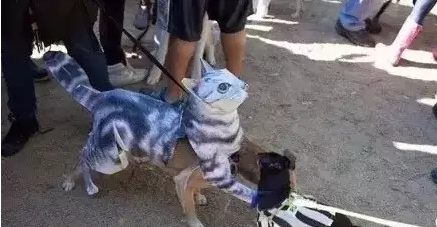 17.png