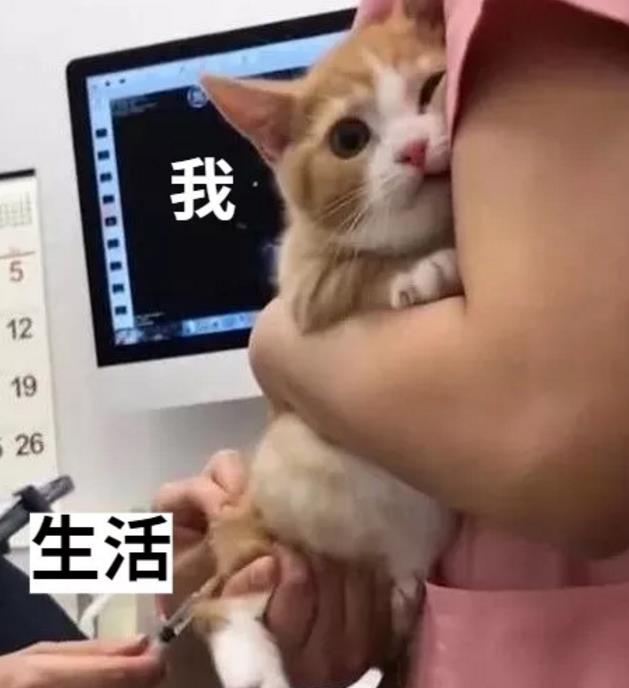 微信截图_20200513152111.jpg