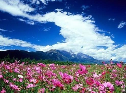 微信截图_20200605100927.jpg