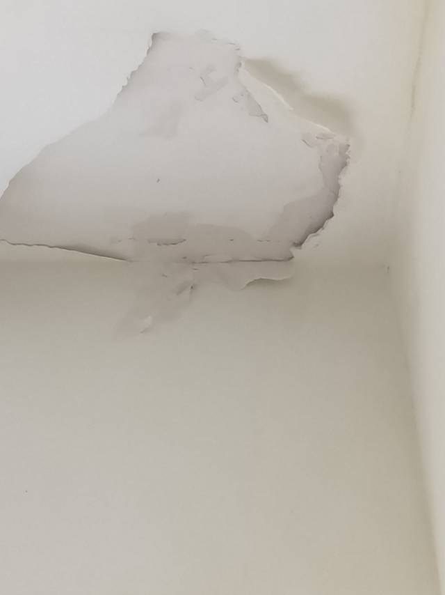 1594517958918341.jpg 14.jpg
