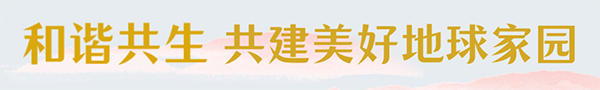24.PNG