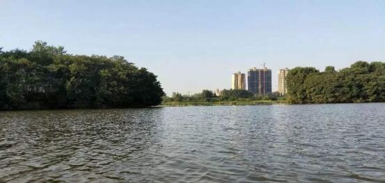 QQ截图20201211172621.jpg