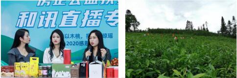 QQ截图20210125101311.jpg