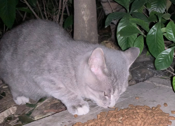 1612749572791268.png 1.png