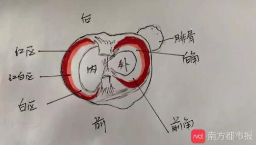 QQ截图20210313143816.jpg