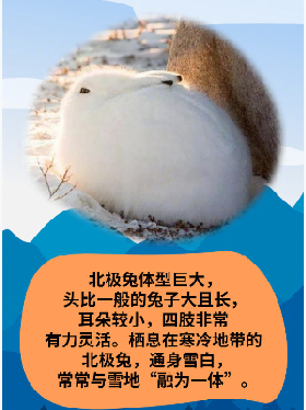 微信图片_20210423111637.png