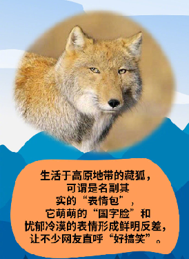 微信图片_20210423111716.png