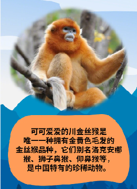 微信图片_20210423111812.png