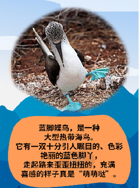 微信图片_20210423111838.png