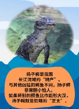 微信图片_20210423112023.png
