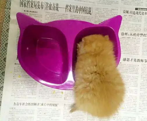 微信图片_20210601110523.png