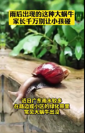 1624937327121779.png 企业微信截图_16249373017760.png