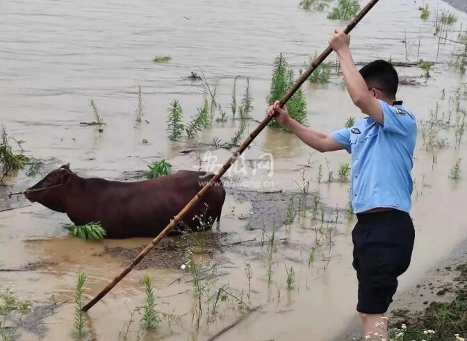 QQ截图20210703091048.jpg