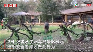 微信截图_20211003095144.png