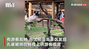 微信截图_20211003095135.png