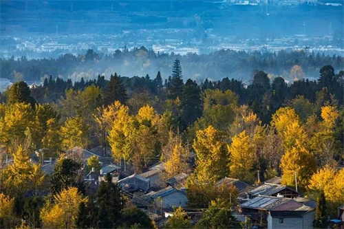 微信图片_20220116115245.jpg