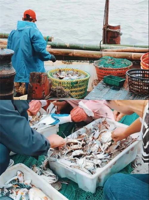 微信图片_20220124113904.jpg