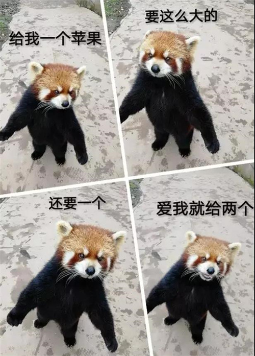 微信图片_20220216103858.jpg