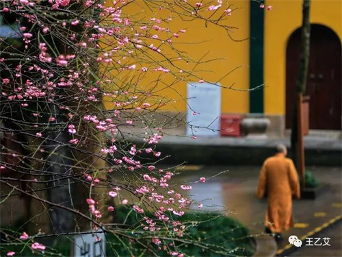 微信图片_20220217102726.jpg